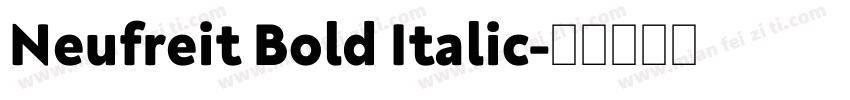 Neufreit Bold Italic字体转换